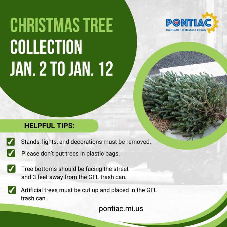 tree collection poster  - Copy